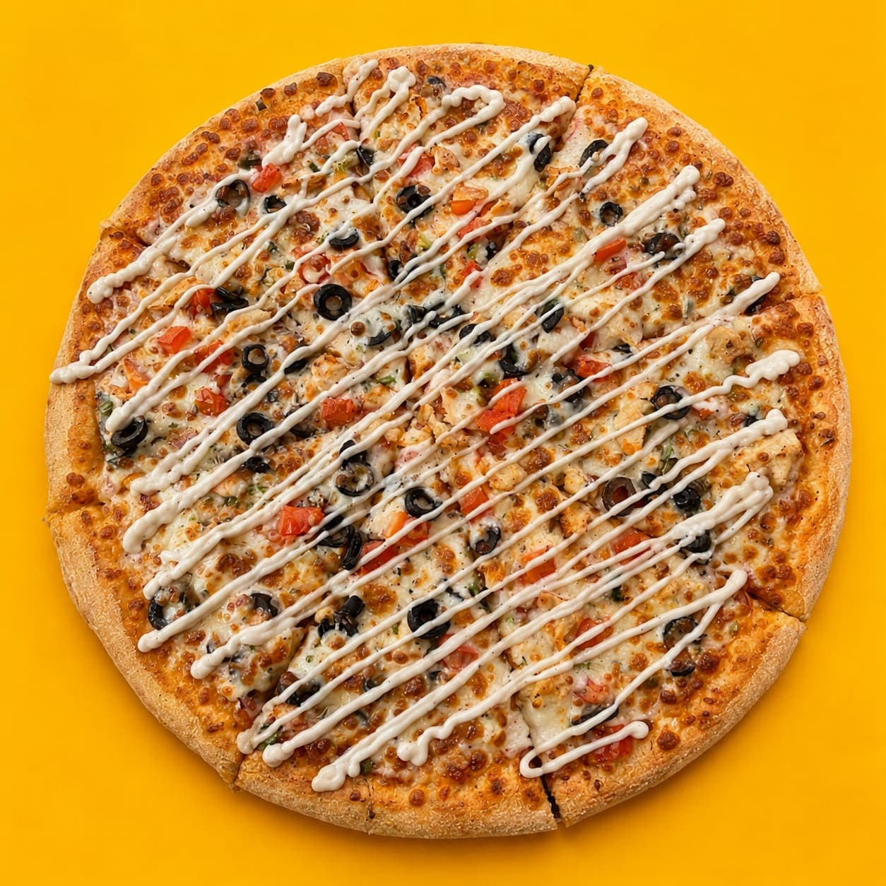Special Pizza Large